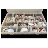 Assorted Seashells and Seashell Motif Picture Frame