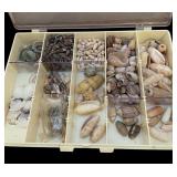 Assorted Seashells and Seashell Motif Picture Frame