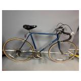 Blue 12 Speed Premier Touring Bicycle