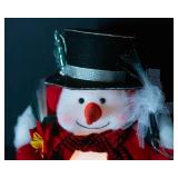 Fiber Optic Mr. Snowball Snowman