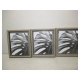 Set of 3 8" x 10" Glass Picture Frames