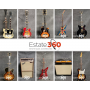 Limited Edition Guitar Collection Online Auction in San Luis Obispo, CA