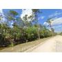 Residential Land for Auction in Florida