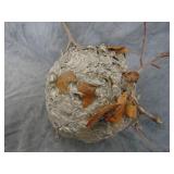 VTG Wasps Nest