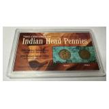 Two Centuries of Indian Head Pennies