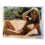 CHRISTIE BRINKLEY AUTOGRAPHED PHOTO