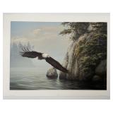 Jorge Mayol "Still Waters" Bald Eagle AP 18/95