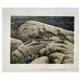 Don Eckelberry California Quail S&N LE Art Print