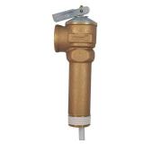 3/4 in. Bronze NCLX-a Temperature and Pressure Rel