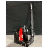 Echo Backpack Blower