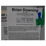 Brian Downing Baseball Sports Autograph