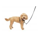 PetSafe 3 in 1 Dog Harness - No Pull Solution for