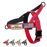 Annchwool No Pull Dog Harness with Soft Padded