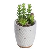 Artificial Succulent Plants Potted Diffusers for