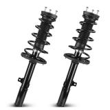 Rear Complete Struts Spring Assembly Shocks