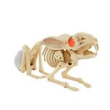 Home Accents Holiday Animated LED Skeleton Bunny