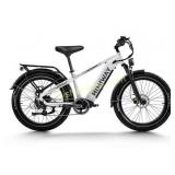 Himiway D5 Premium All-terrain Electric Bike