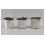 Decorative Potted Faux succulents Plants