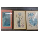 3 Large Framed art work,-botanical  -U15