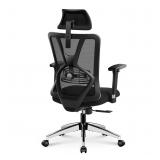 Ticova Ergonomic Office Chair - High Back Desk Cha