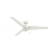 Hunter Fan Company 59263 Cassius 52 Inch 3 Blade 3