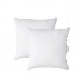 LANE LINEN Throw Pillow Insert - Pack of 2 16x16 P