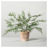 New Potted Rosemary - Threshold, 20in-