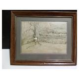 Old man Willow framed picture