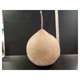 Decorative gourd