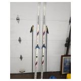 Fischer Skis