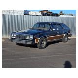 1983 AMC Concord Wagon