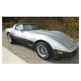 1981 CHEVROLET CORVETTE