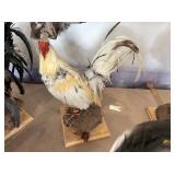 CHICKEN TAXIDERMY