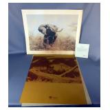 Guy Coheleach 1972 "Beware" African Bull Elephant Silk Screened Print, Signed By Artist, From Frame 