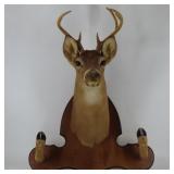 7pt. Whitetail Buck Mount