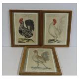 Framed Rooster Prints