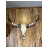 Longhorn Skull