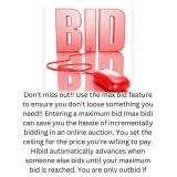 Max Bid Feature Explained