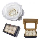 State of The Art Preserved Roses - Product of Ecua