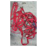 Lunge lines  lead ropes  halter