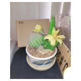 ARTIFICIAL CACTUS IN PLANTER