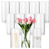 12pc Glass Cylinder Vases 8 x 3"