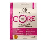 11lb Grain-Free Dry Cat Food  Wellness CORE