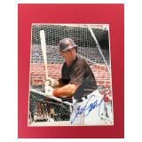 MLB Star Steve Garvey signed matted photo