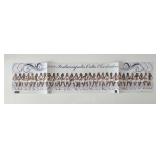 Indianapolis Colts signed cheerleader poster