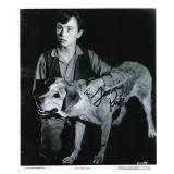 Old Yeller signed photo