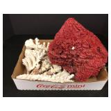 Box Lot of Coral