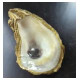 Gilded Oyster Shell