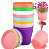 16 Pack 5.5 Inch Plastic Planters Assorted Flower