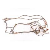 Deer Lodge Horsehair Bridle.